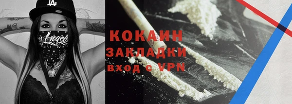 гидра Арсеньев