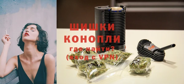 гидра Арсеньев