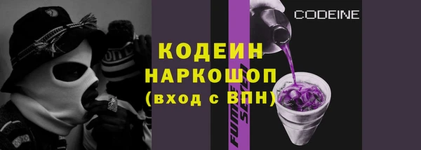 гидра Арсеньев