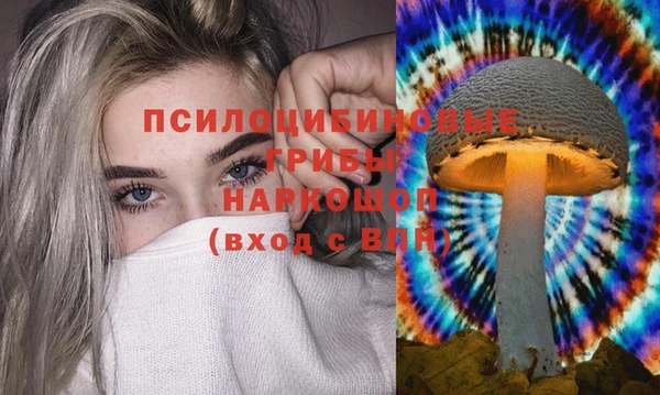 гидра Арсеньев