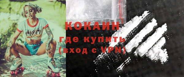 твердый Аркадак