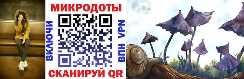 Псилоцибиновые грибы MAGIC MUSHROOMS  KRAKEN сайт  Бабушкин 